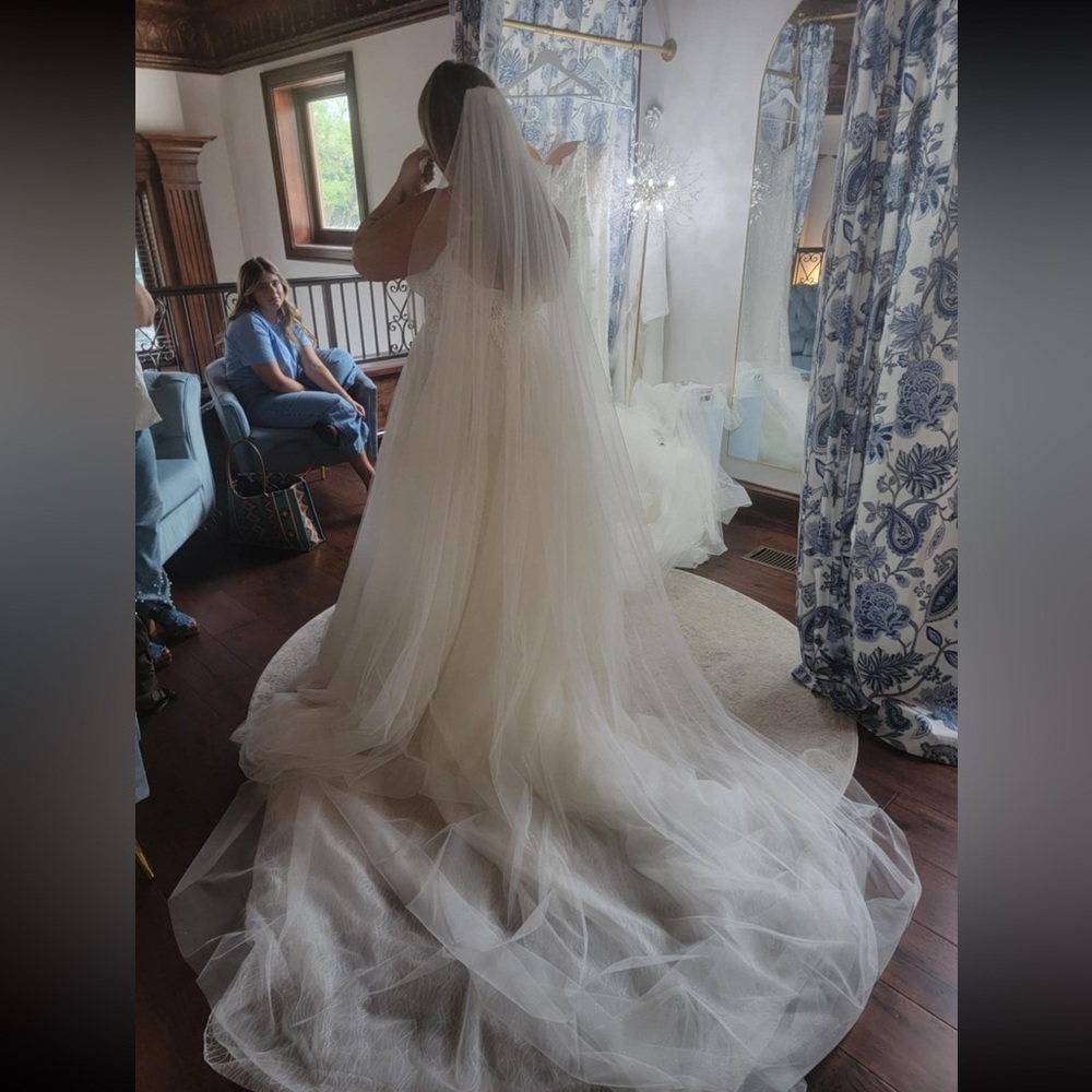 Pronovias White Wedding Dress - Picture 10 of 10